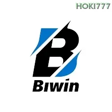 Biwin